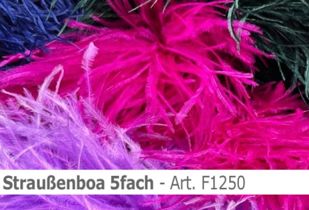 Preview: Straussen-Boa 5fach male