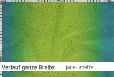 Netzstoff mit Farbverlauf & Pailletten