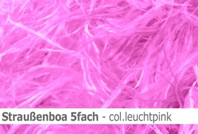 Straussen-Boa 5fach male